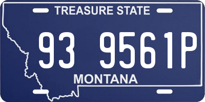 MT license plate 939561P