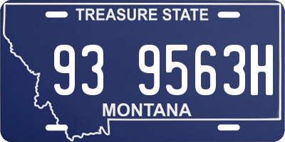MT license plate 939563H