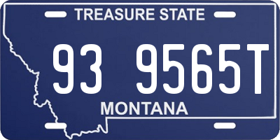 MT license plate 939565T