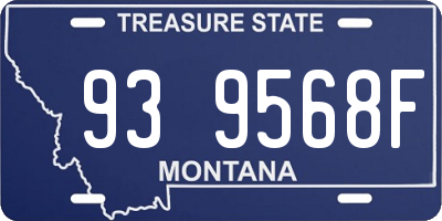 MT license plate 939568F