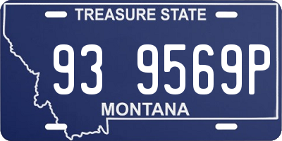 MT license plate 939569P