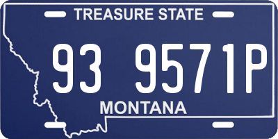 MT license plate 939571P