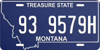 MT license plate 939579H