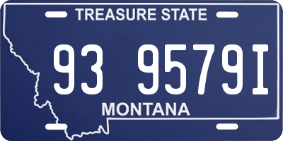 MT license plate 939579I