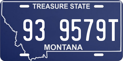 MT license plate 939579T