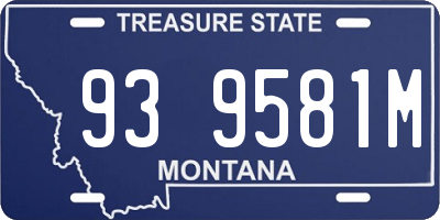 MT license plate 939581M