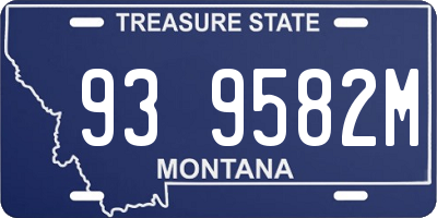 MT license plate 939582M