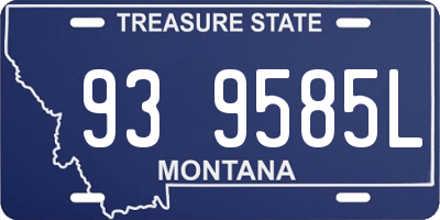 MT license plate 939585L