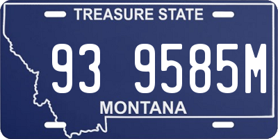 MT license plate 939585M