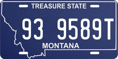 MT license plate 939589T