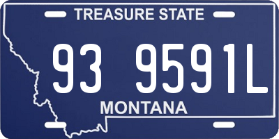 MT license plate 939591L