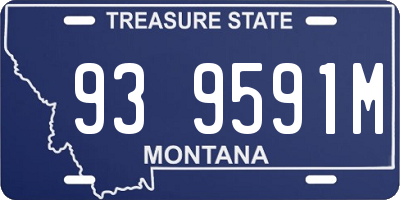 MT license plate 939591M