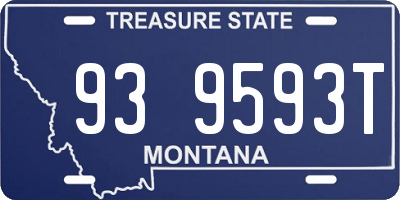 MT license plate 939593T