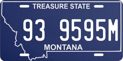 MT license plate 939595M