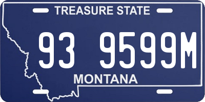 MT license plate 939599M