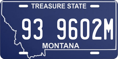 MT license plate 939602M