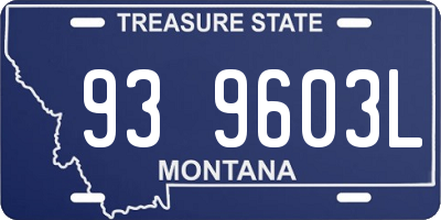 MT license plate 939603L