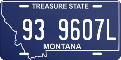 MT license plate 939607L