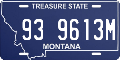 MT license plate 939613M