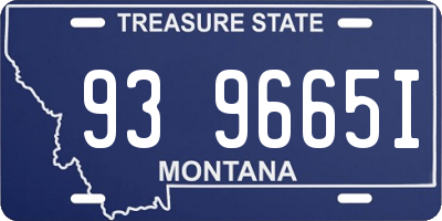 MT license plate 939665I