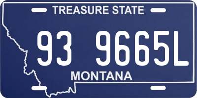 MT license plate 939665L