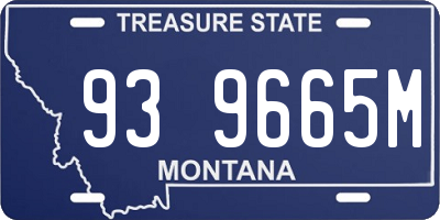MT license plate 939665M