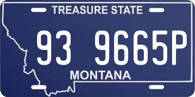 MT license plate 939665P