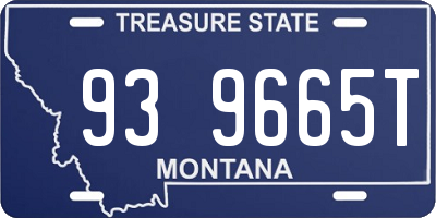 MT license plate 939665T