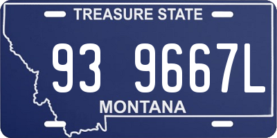 MT license plate 939667L