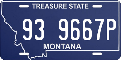 MT license plate 939667P