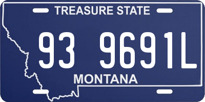 MT license plate 939691L