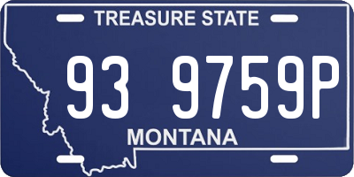 MT license plate 939759P