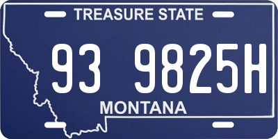 MT license plate 939825H