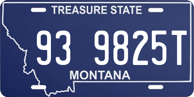 MT license plate 939825T
