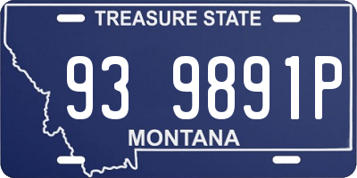 MT license plate 939891P