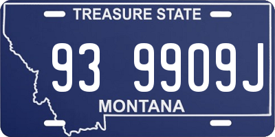 MT license plate 939909J