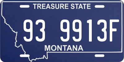 MT license plate 939913F