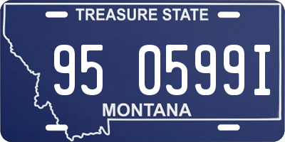 MT license plate 950599I