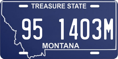 MT license plate 951403M