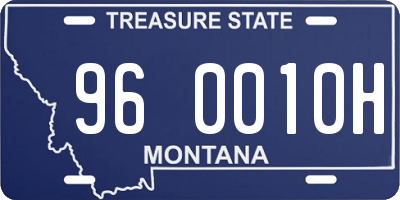 MT license plate 960010H