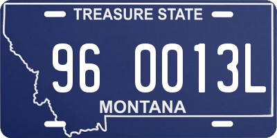 MT license plate 960013L