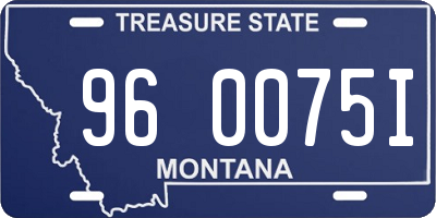 MT license plate 960075I