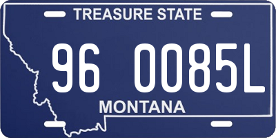 MT license plate 960085L