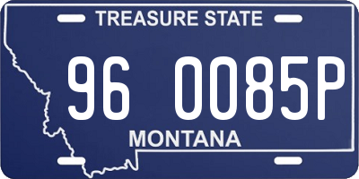 MT license plate 960085P
