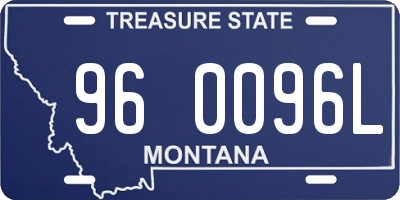 MT license plate 960096L