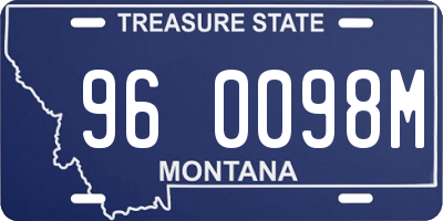 MT license plate 960098M