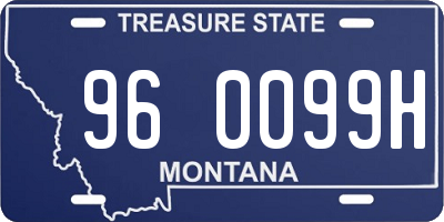 MT license plate 960099H