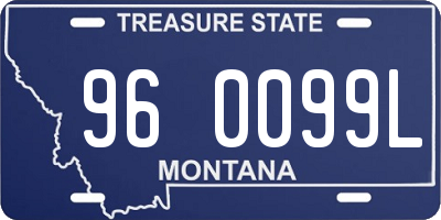 MT license plate 960099L
