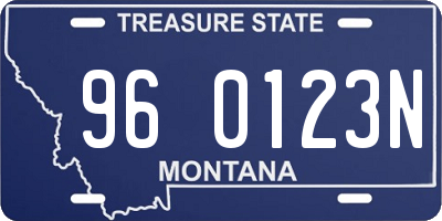 MT license plate 960123N