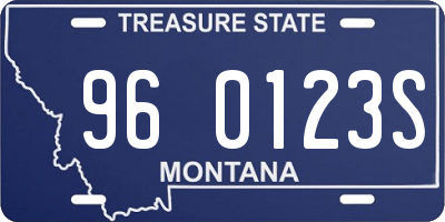 MT license plate 960123S